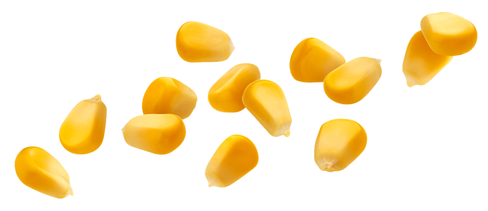 Corn Supreme